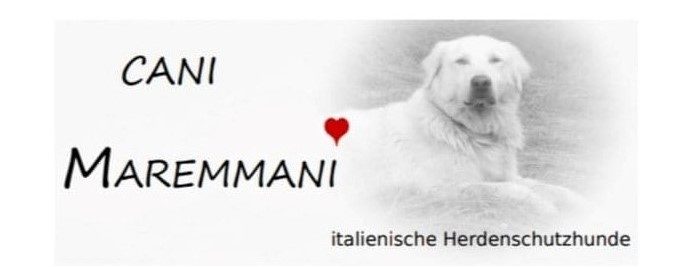 Cani Maremmani - Pro italienische Herdenschutzhunde
